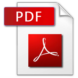 PDF icon png