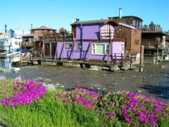 quaint floating habitat .. click for full size picture